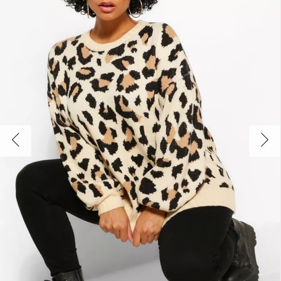 Super Soft Leopard Print Sweater - Picture 1 of 6